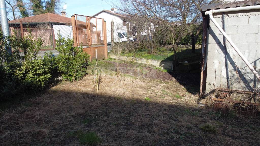 immagine annuncio 11 di 12