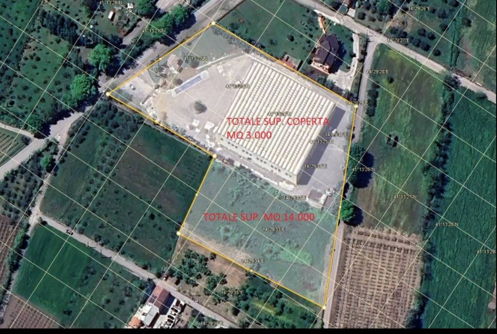 immagine annuncio 9 di 11