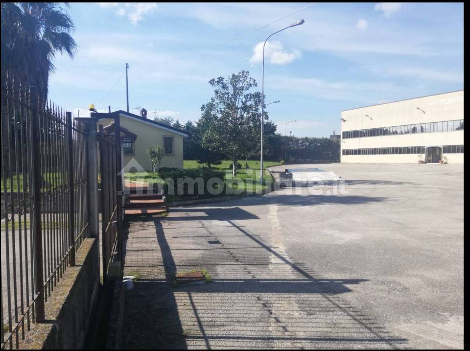 immagine annuncio 2 di 11