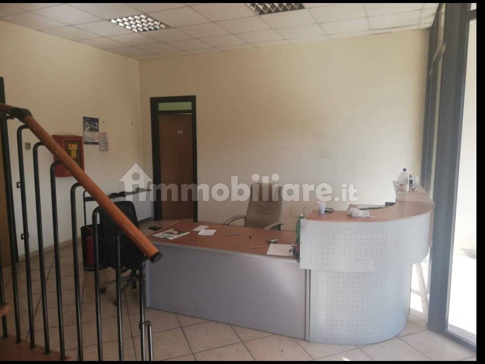 immagine annuncio 10 di 11