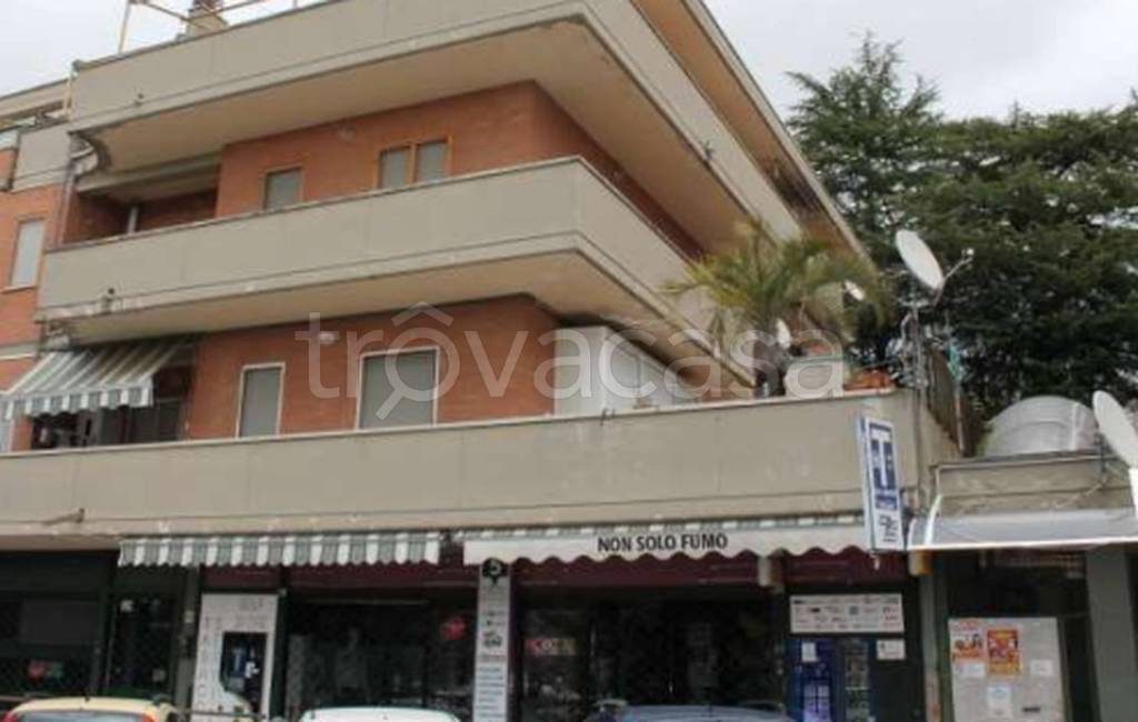 immagine annuncio 4 di 11