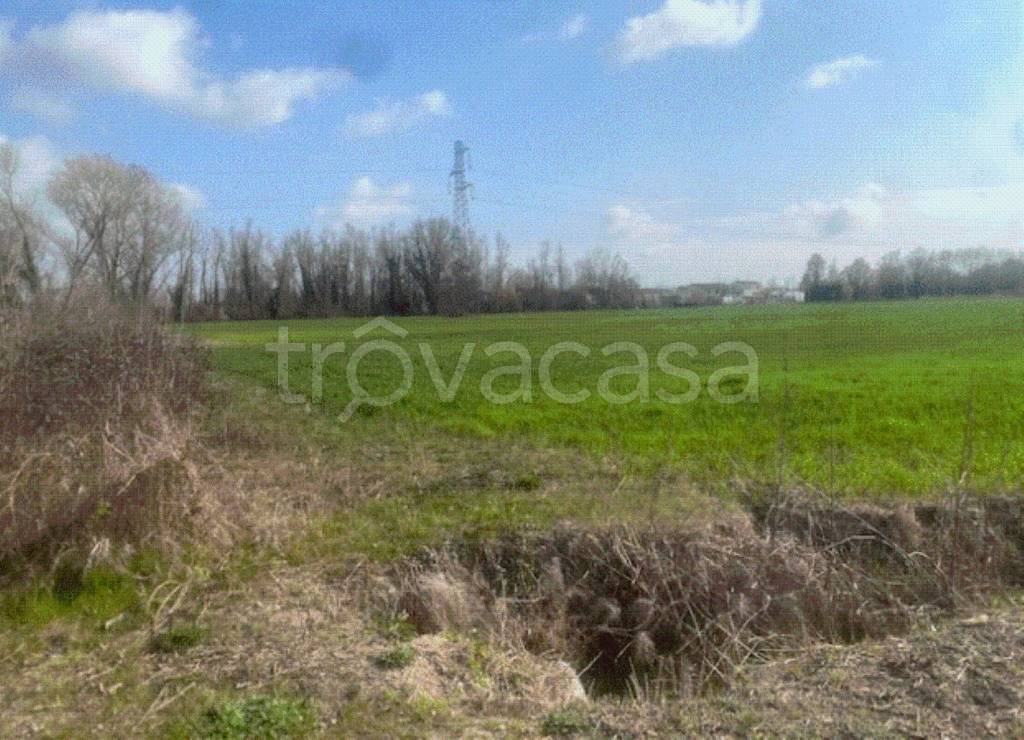 immagine annuncio 9 di 11