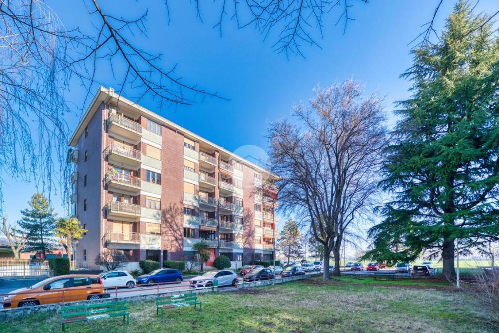 immagine annuncio 1 di 15