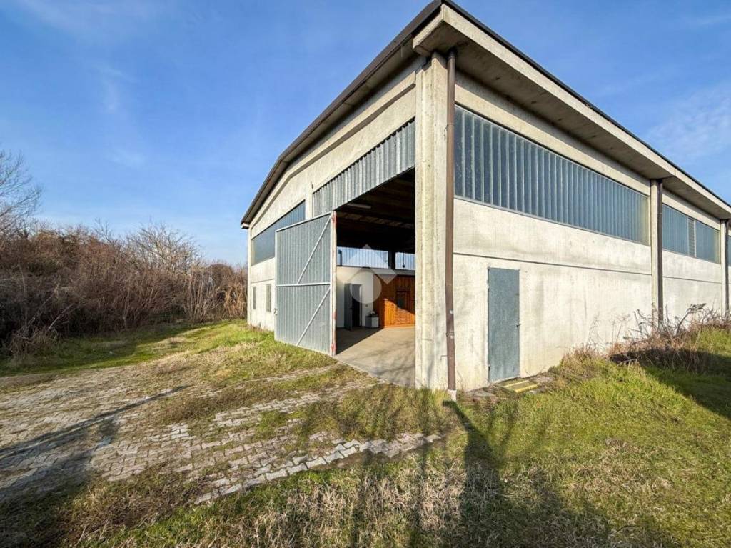 immagine annuncio 11 di 15