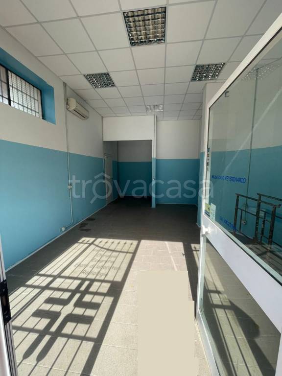 immagine annuncio 5 di 8