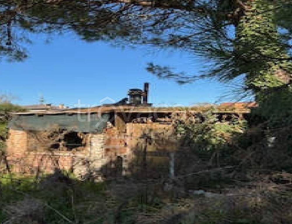 immagine annuncio 4 di 11