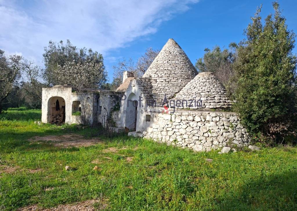 immagine annuncio 2 di 14