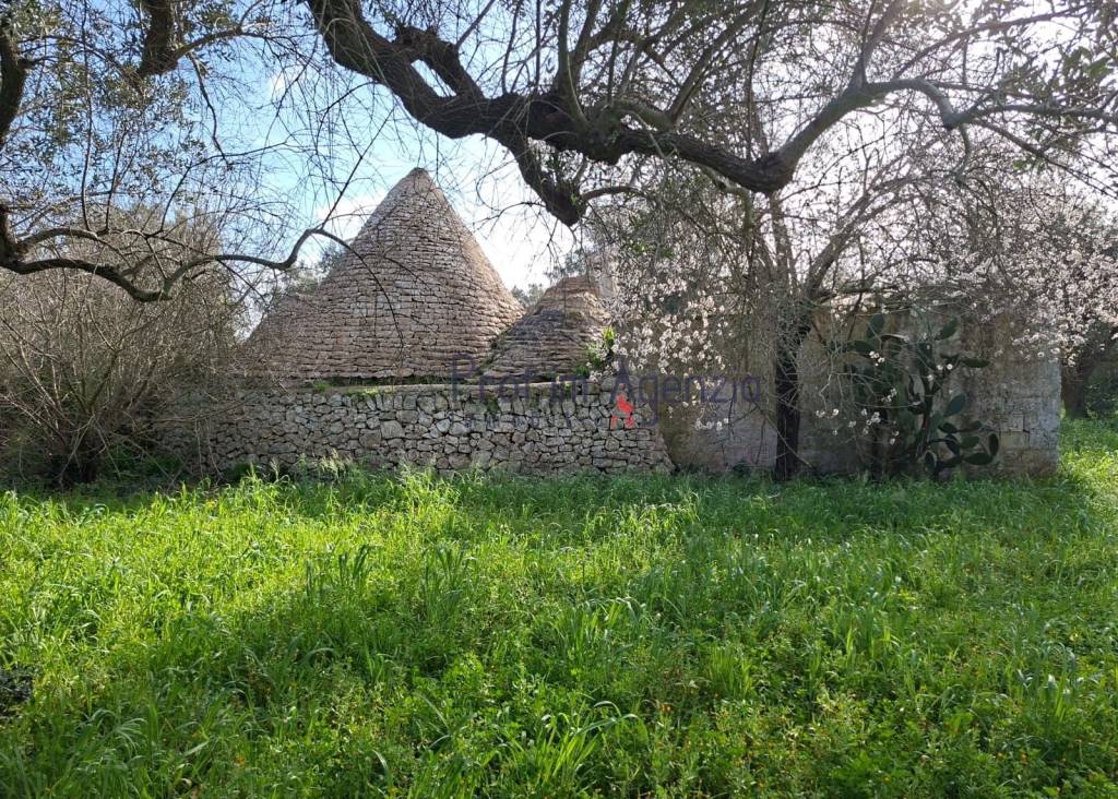 immagine annuncio 3 di 14