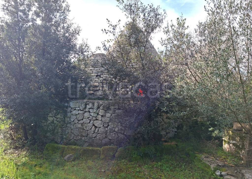 immagine annuncio 4 di 14