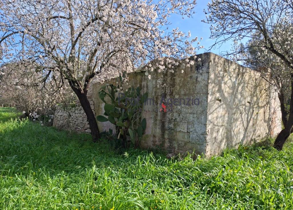 immagine annuncio 5 di 14