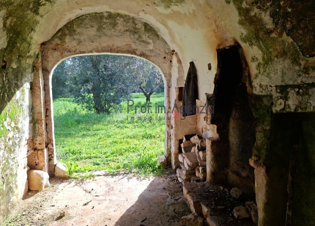 immagine annuncio 6 di 14