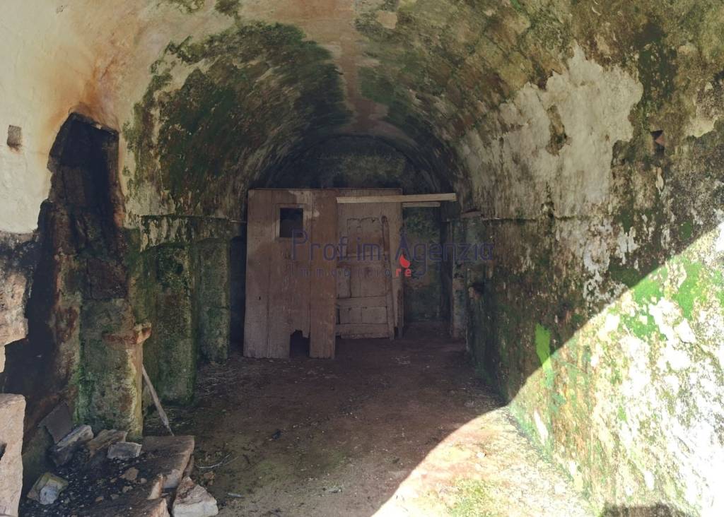 immagine annuncio 7 di 14