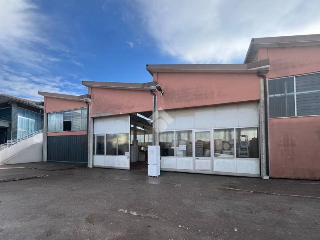 immagine annuncio 3 di 13