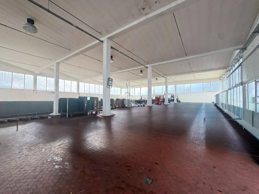 immagine annuncio 2 di 13