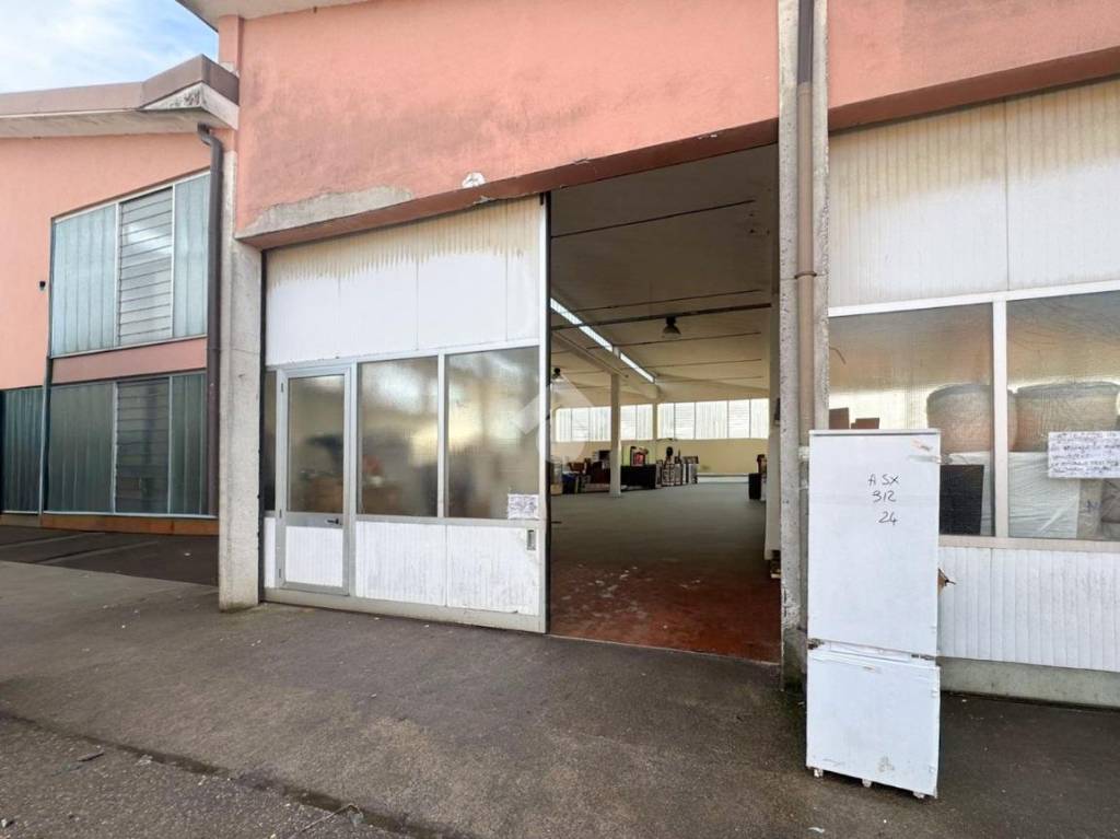 immagine annuncio 10 di 13