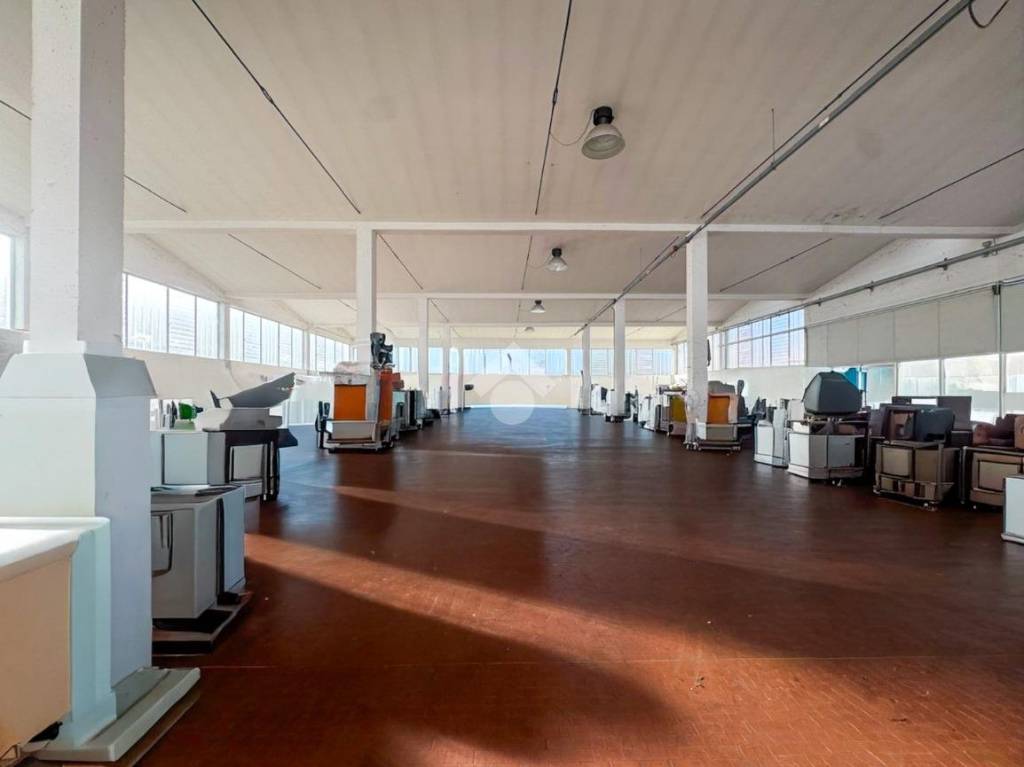 immagine annuncio 4 di 13