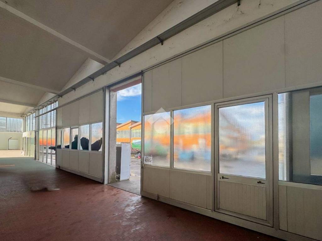 immagine annuncio 6 di 13