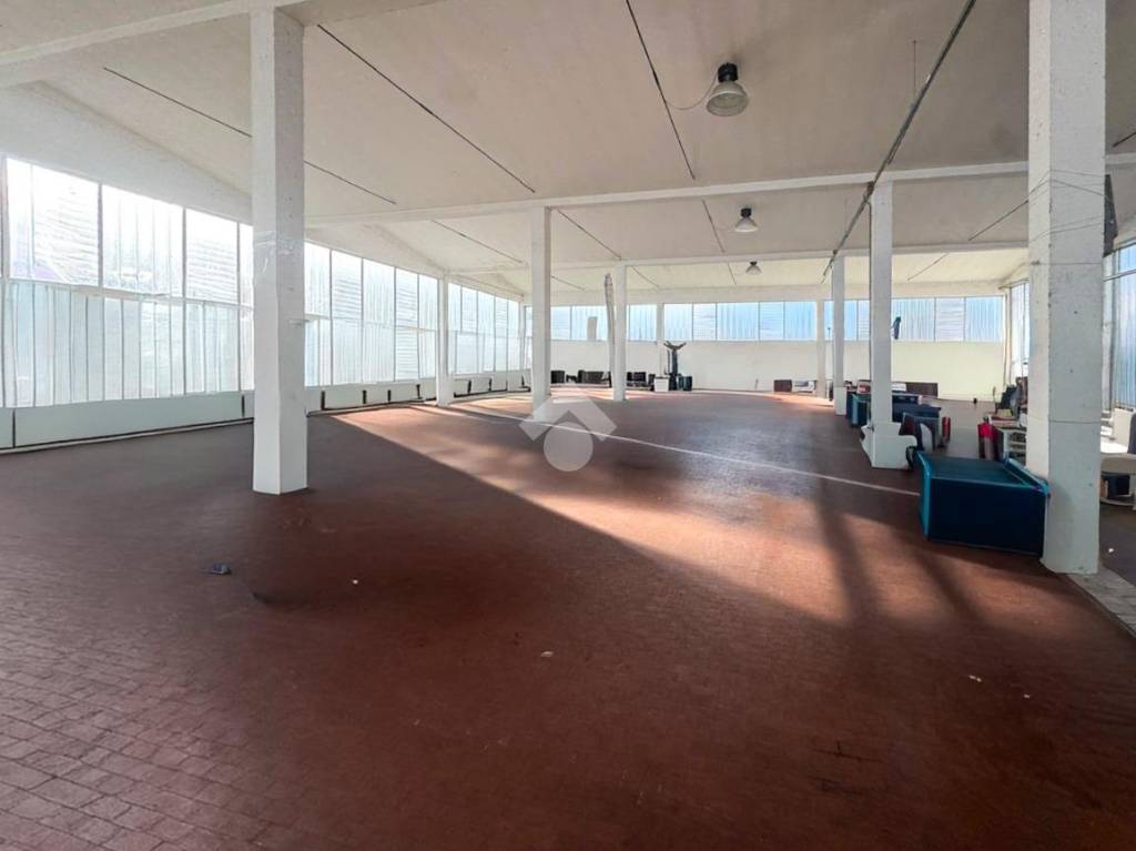 immagine annuncio 11 di 13