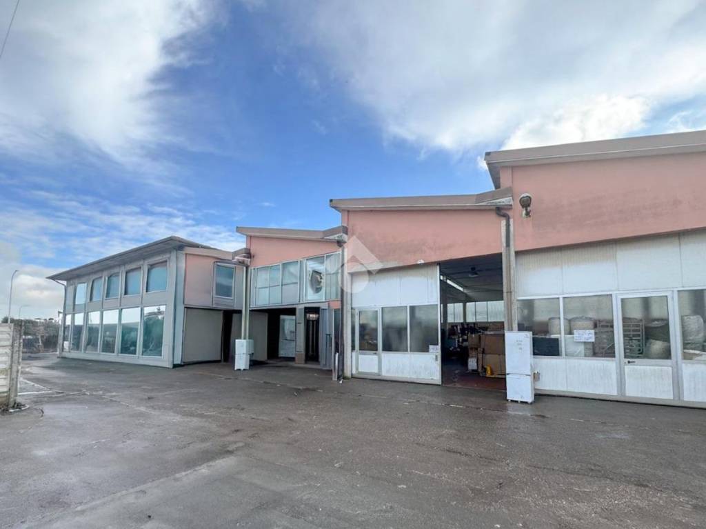 immagine annuncio 12 di 13