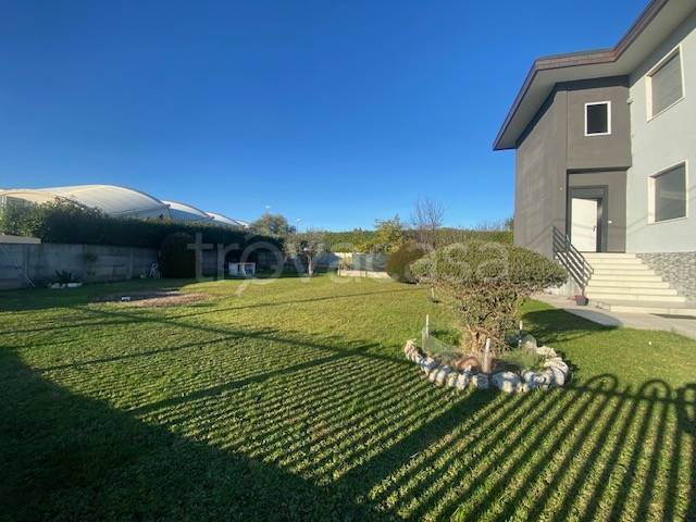 immagine annuncio 4 di 6