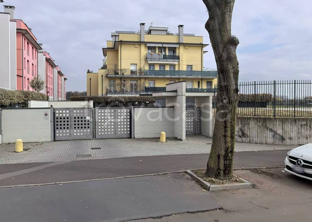 immagine annuncio 3 di 15