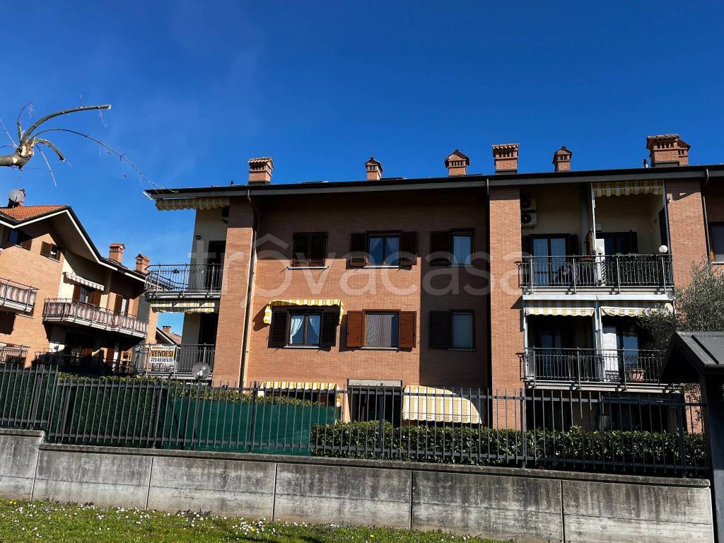 immagine annuncio 2 di 15