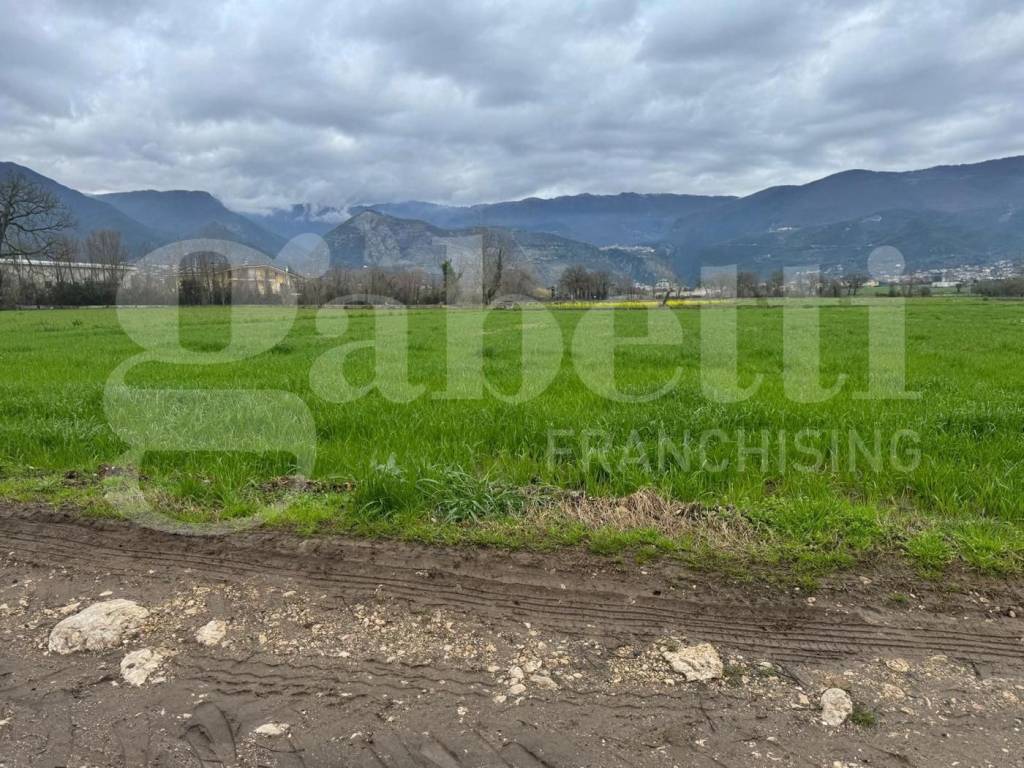 immagine annuncio 5 di 7