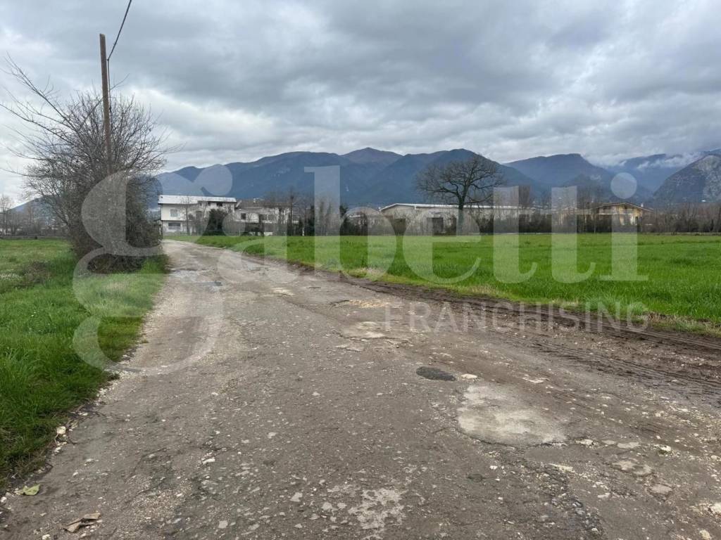 immagine annuncio 6 di 7