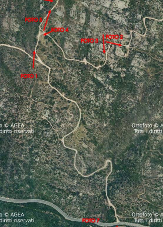 immagine annuncio 8 di 11