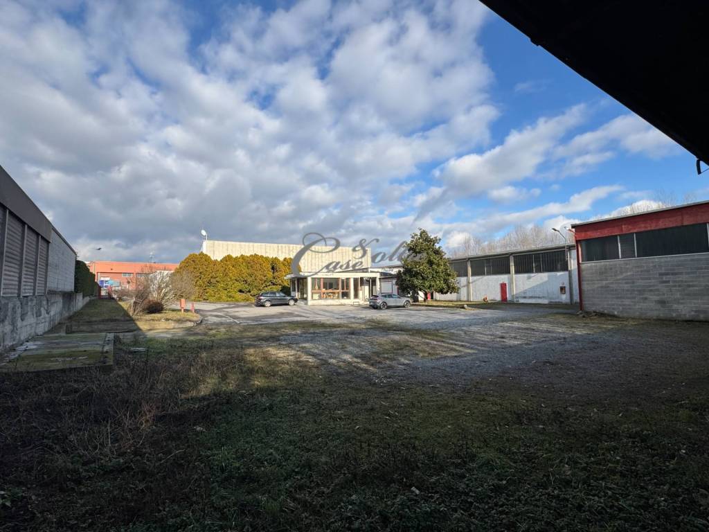 immagine annuncio 6 di 15