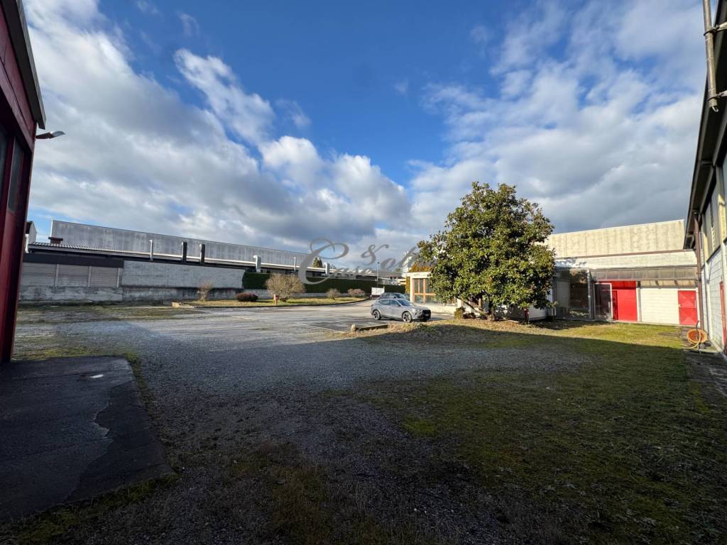 immagine annuncio 7 di 15