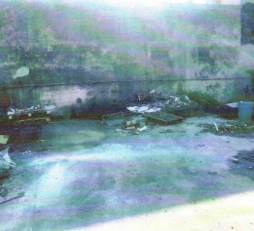 immagine annuncio 7 di 12