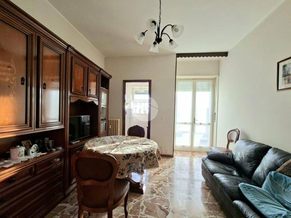 immagine annuncio 1 di 12