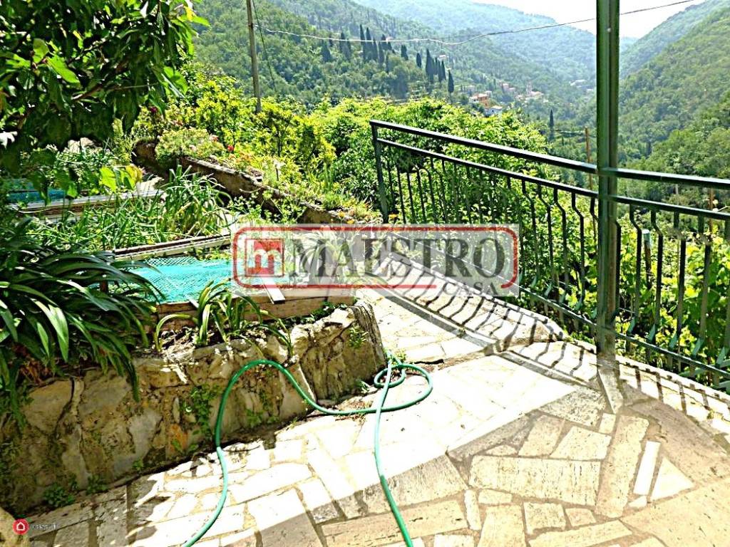 immagine annuncio 3 di 14