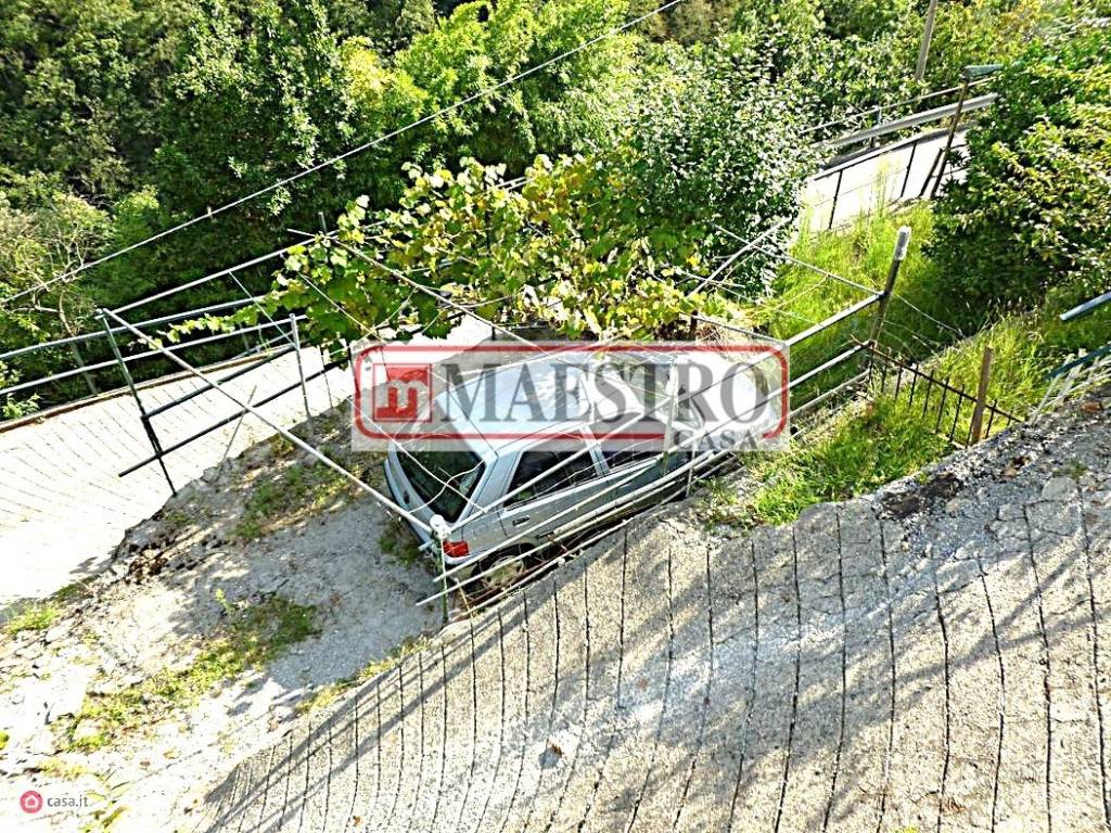 immagine annuncio 4 di 14