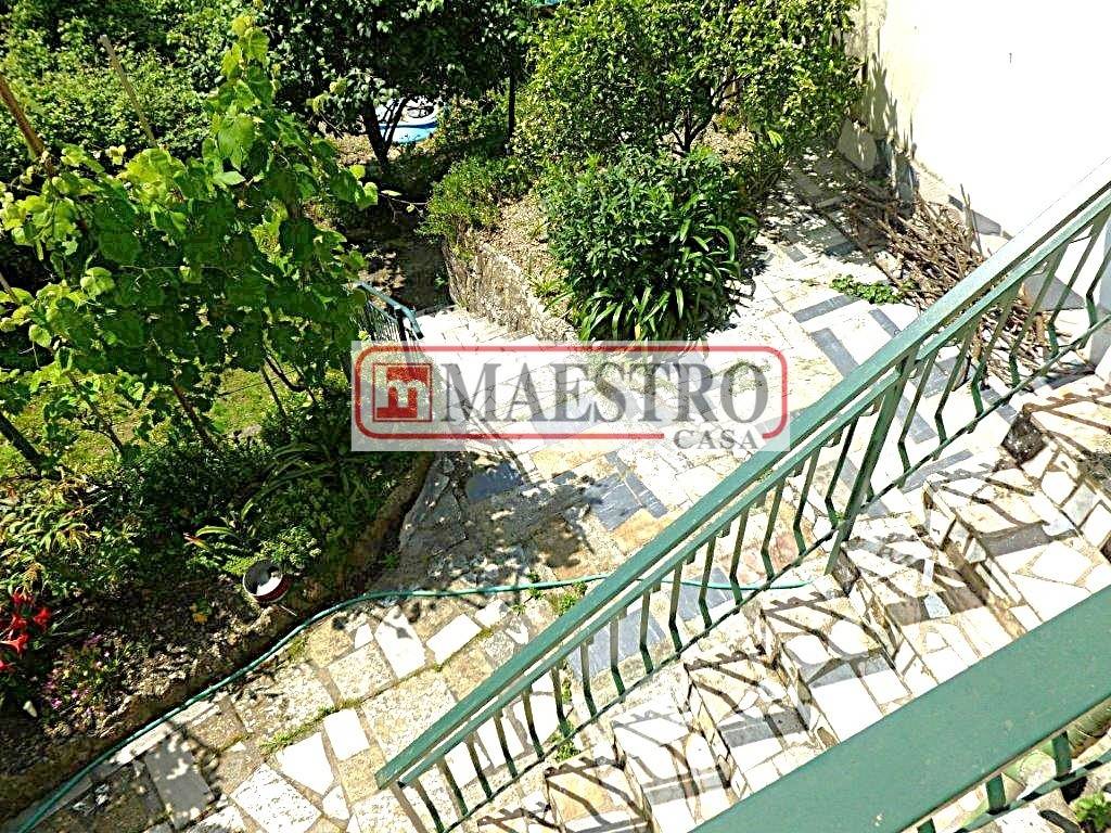 immagine annuncio 7 di 14