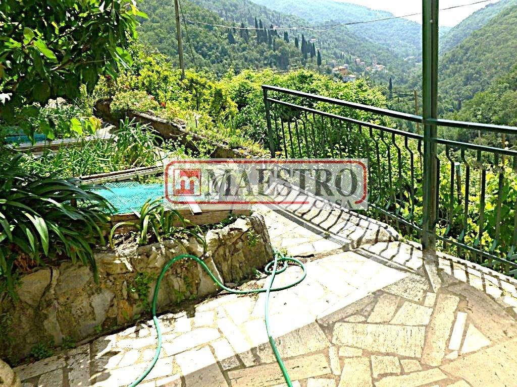 immagine annuncio 9 di 14