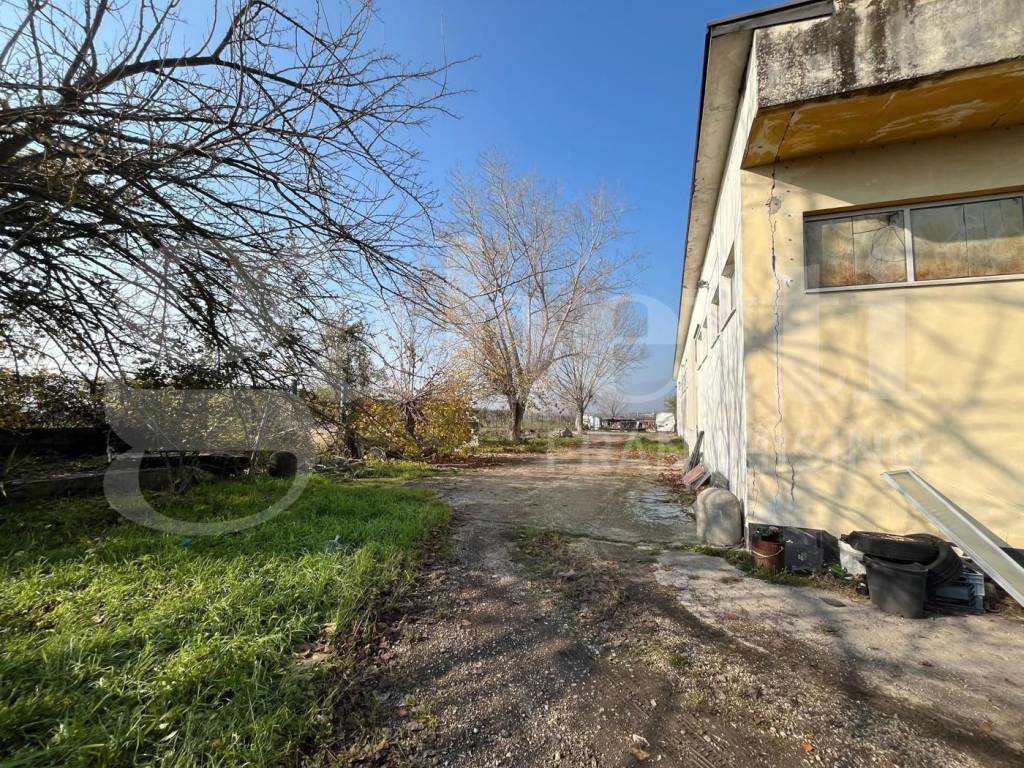 immagine annuncio 4 di 9