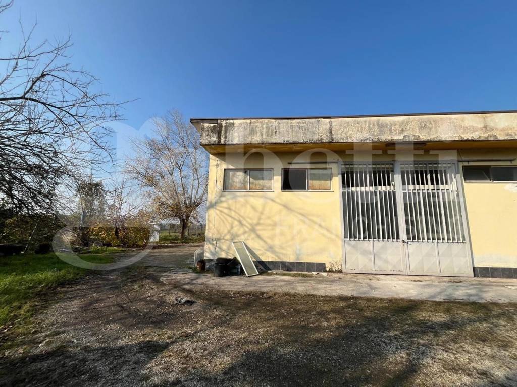 immagine annuncio 5 di 9