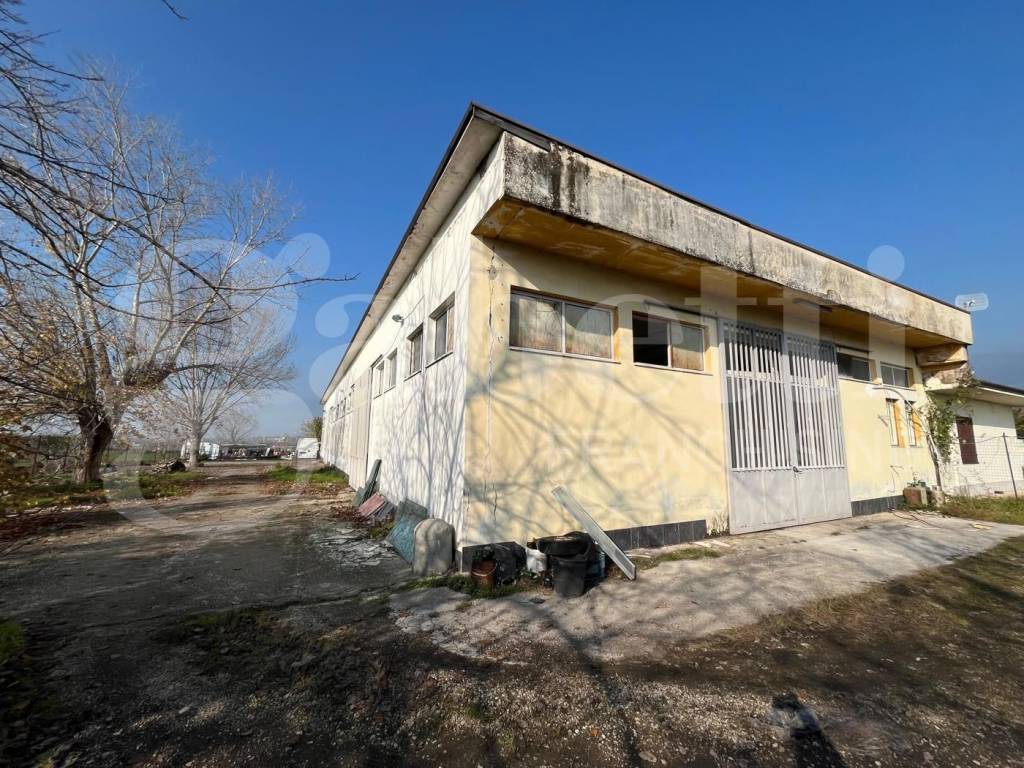 immagine annuncio 6 di 9