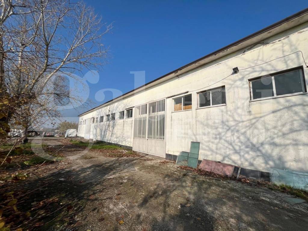 immagine annuncio 7 di 9