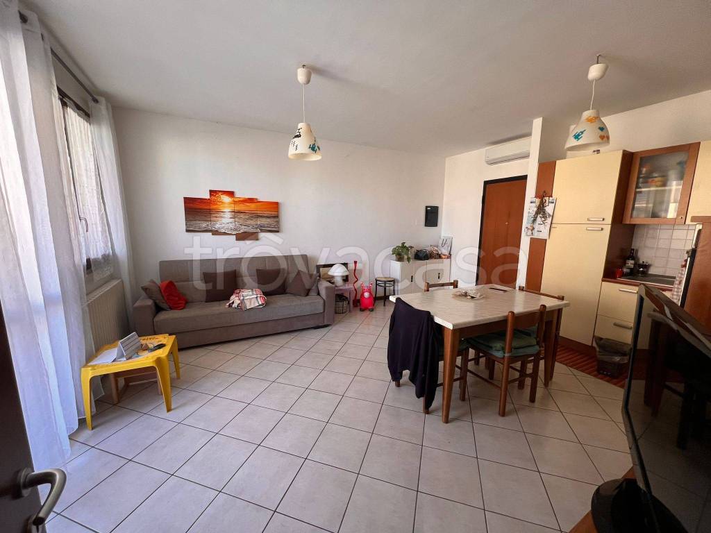 immagine annuncio 3 di 12