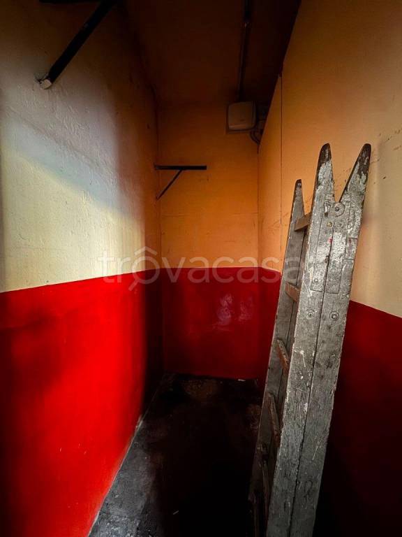 immagine annuncio 4 di 8