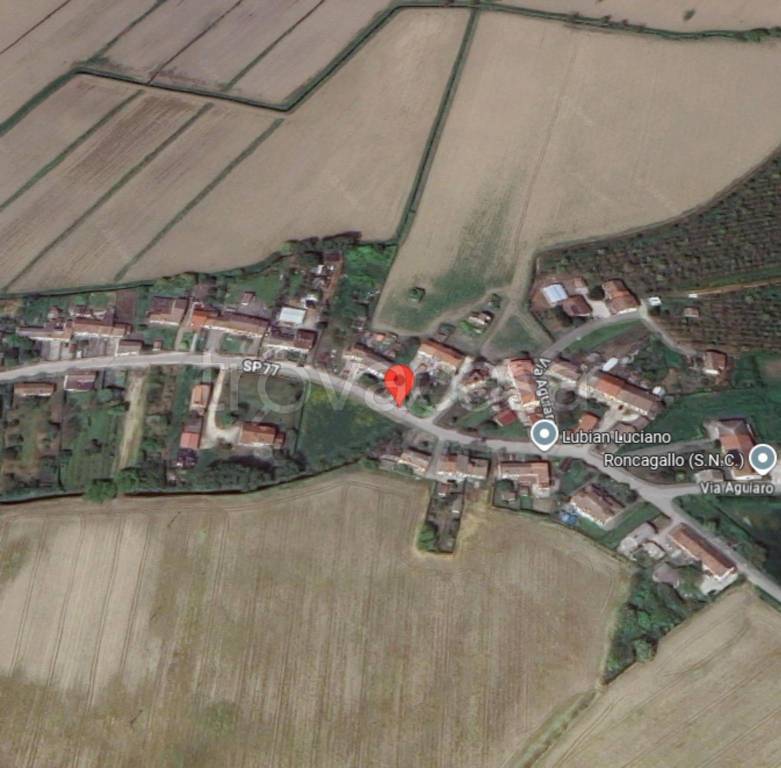 immagine annuncio 8 di 11