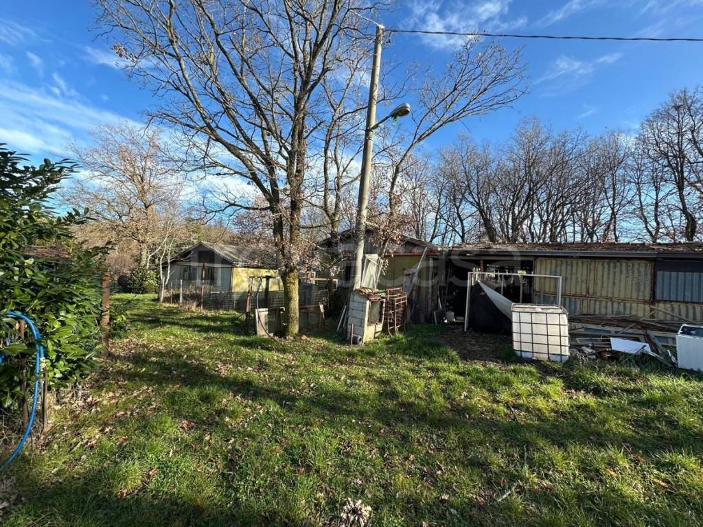 immagine annuncio 11 di 15