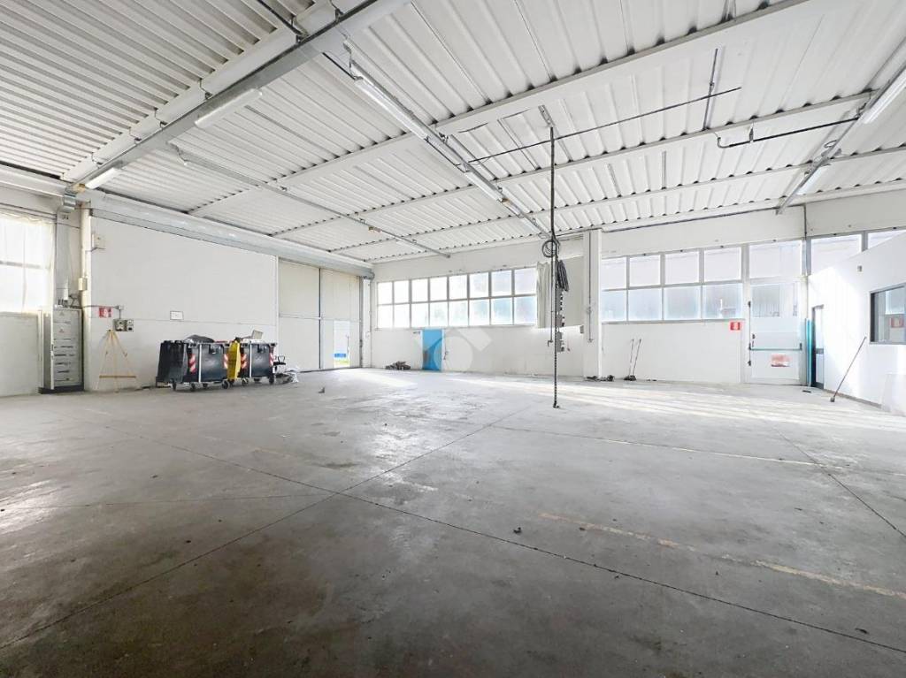 immagine annuncio 2 di 15