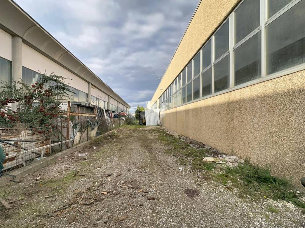 immagine annuncio 5 di 15