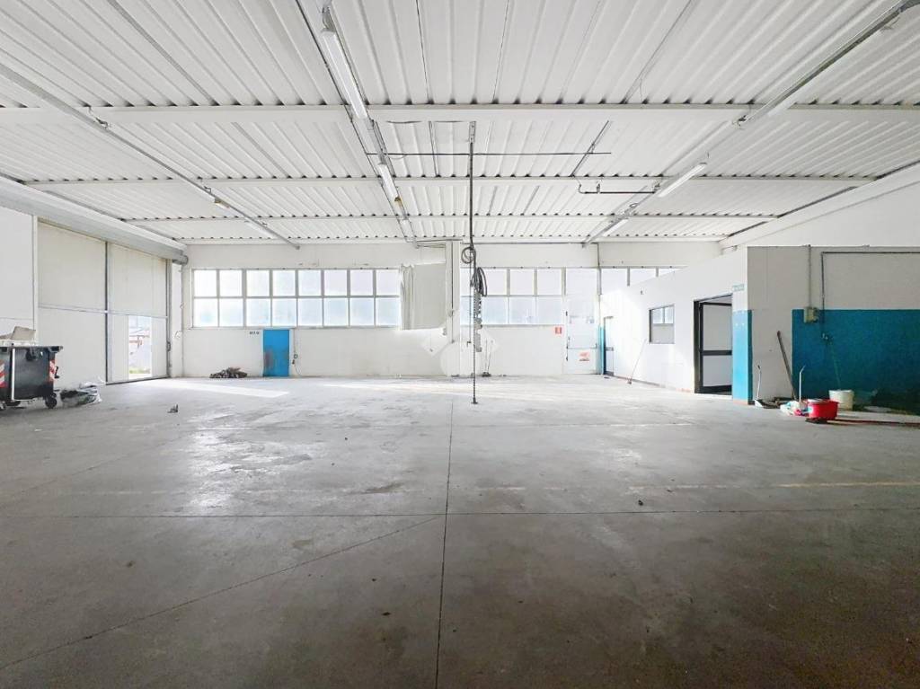 immagine annuncio 7 di 15