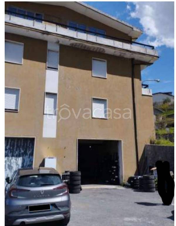 immagine annuncio 7 di 11