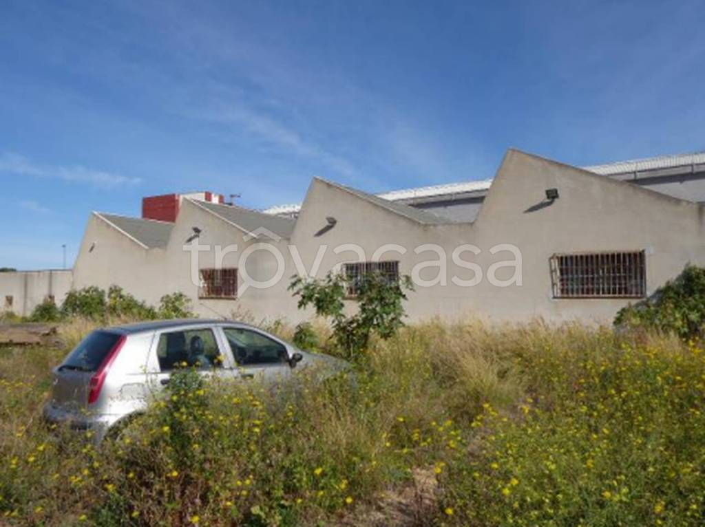 immagine annuncio 6 di 13